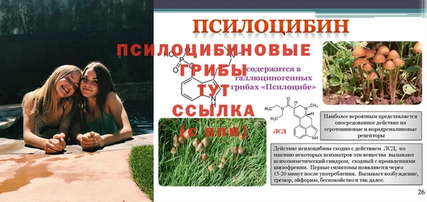 бошки Каменногорск