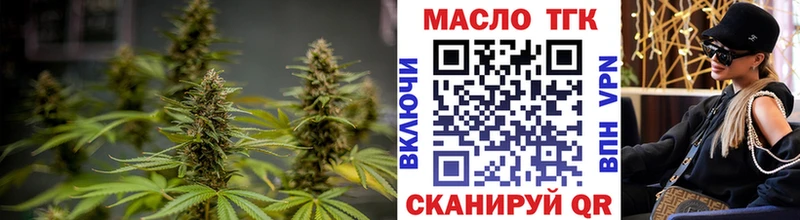 Купить где  Зеленодольск  ТГК Wax 