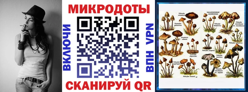 Галлюциногенные грибы Psilocybine cubensis  Купить закладки  Зеленодольск 